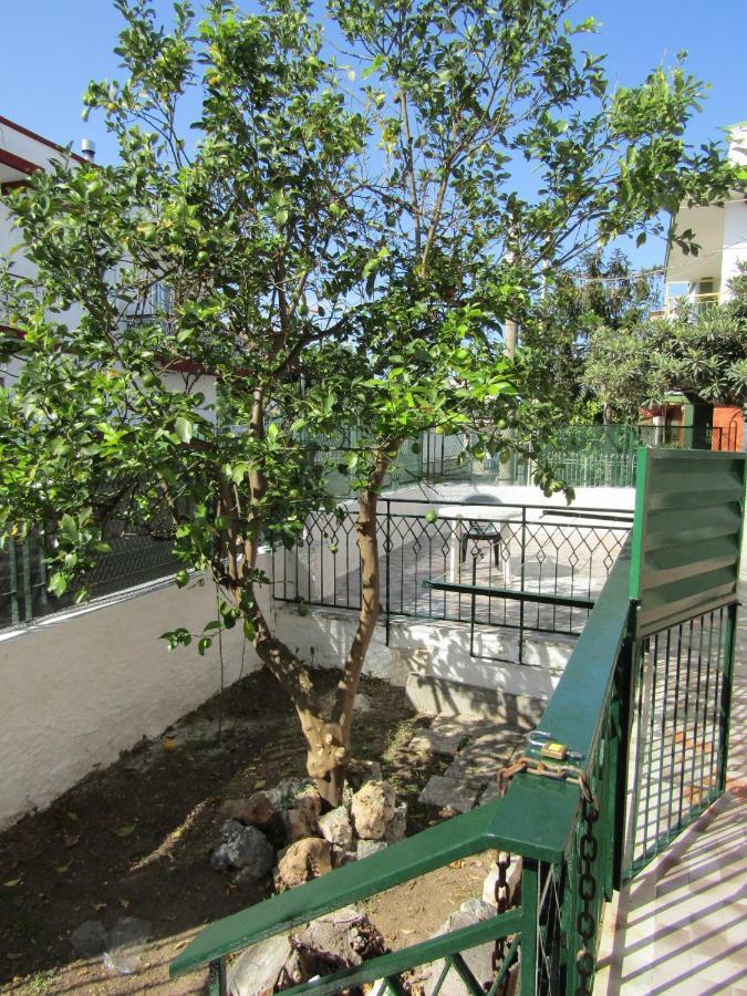 Lucia'S Apartaments 巴里 外观 照片